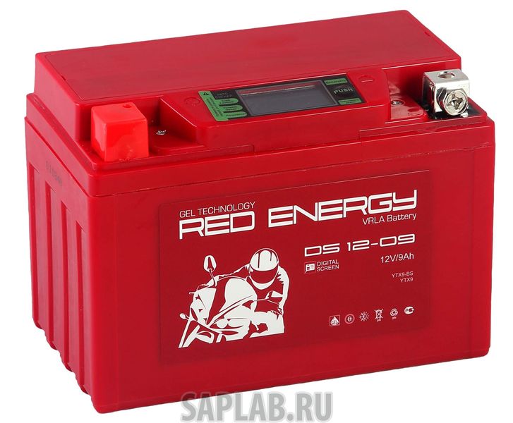 Купить запчасть RED_ENERGY - DS1209 